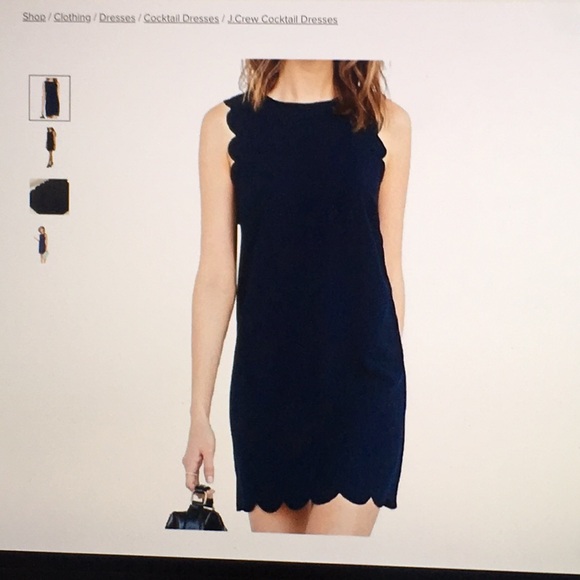 Jcrew Navy Scalloped Dress - Picture 10 of 16